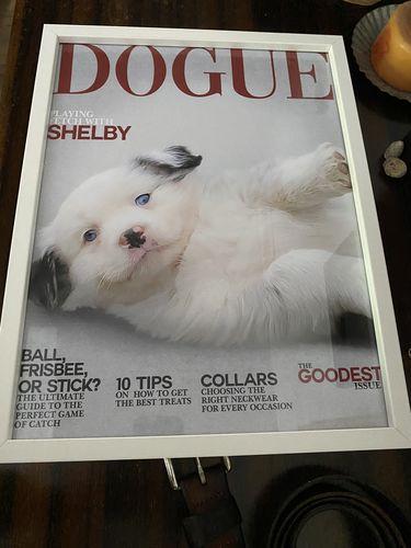 Dogue Cover