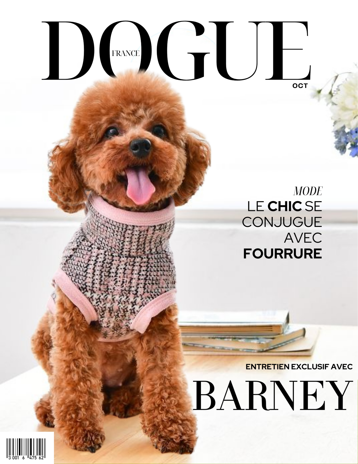 Dogue Cover