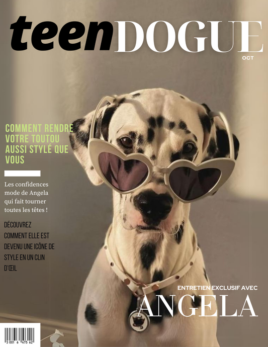 Teendogue Cover