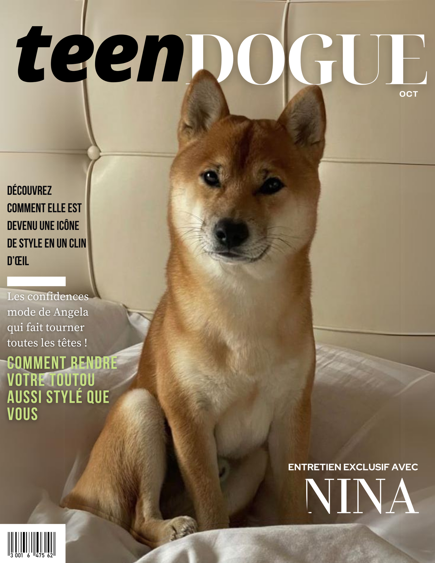 Teendogue Cover