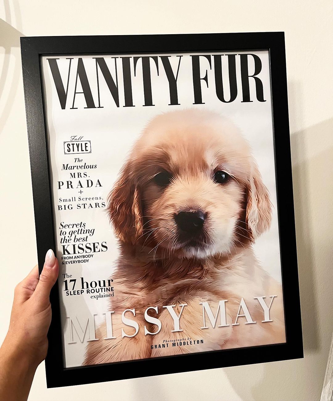 Vanity Fur Cover